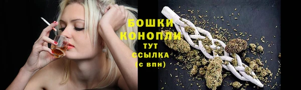 ГАЛЛЮЦИНОГЕННЫЕ ГРИБЫ Вязьма