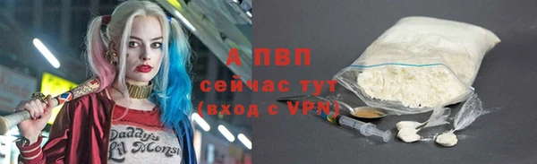 ГАЛЛЮЦИНОГЕННЫЕ ГРИБЫ Вязьма