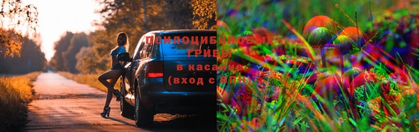мдма Вязники