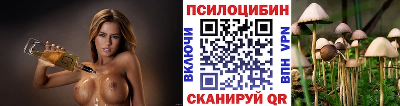 Псилоцибиновые грибы Magic Shrooms  Купить где  Цивильск 